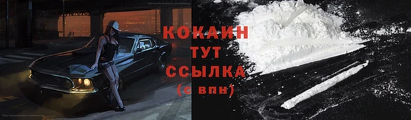 метадон Гусев