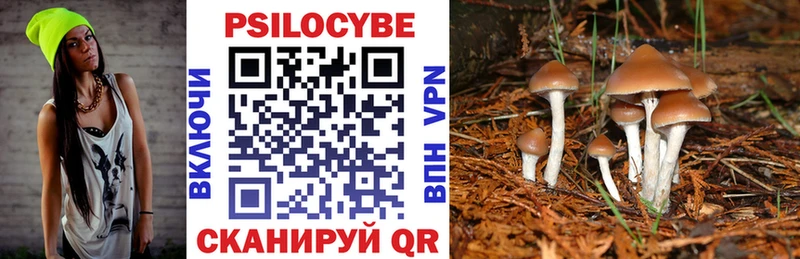 Купить закладки  Сафоново  Псилоцибиновые грибы Cubensis 